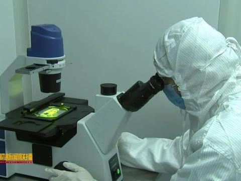 十年磨一剑 安科生物以超10%营收重注研发，铸就生物医药创新引擎