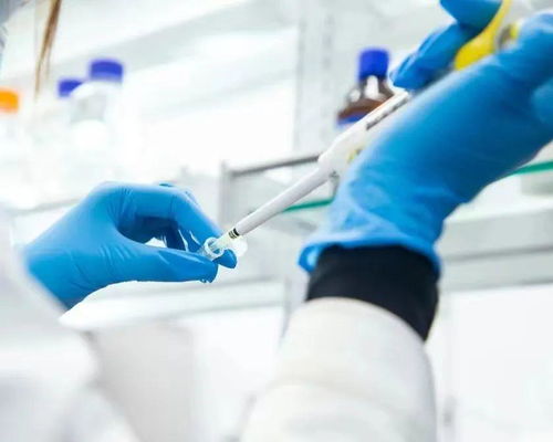 从玻尿酸巨头到护肤品牌 华熙生物的转型之路与科技底色之辨