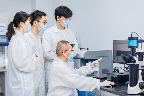 精准猎杀癌细胞，武汉企业发布突破性生物研发成果